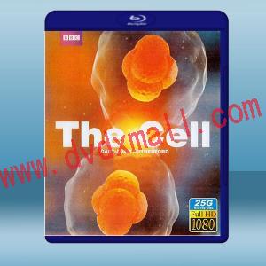  細胞 The Cell (2碟) (2009) 藍光25G