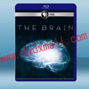  深入大腦 The Brain with David Eagleman (2碟) (2015) 藍光25G