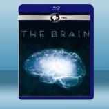  深入大腦 The Brain with David Eagleman (2碟) (2015) 藍光25G