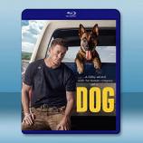  忠犬/逍遙上路 Dog(2022)藍光25G