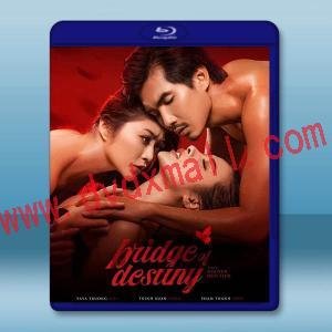  別人的丈夫 Bridge of Destiny(2020)藍光25G
