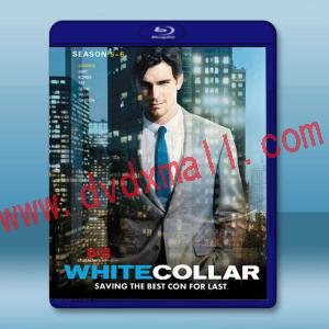  妙警賊探/貓鼠遊戲 第5+6季 White Collar S5-6(2013-2014)藍光25G 4碟