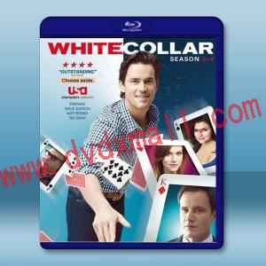 妙警賊探/貓鼠遊戲 第3+4季 White Collar S3-4(2011-2012)藍光25G 4碟