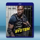  危險臥底 The System (2022)藍光25G