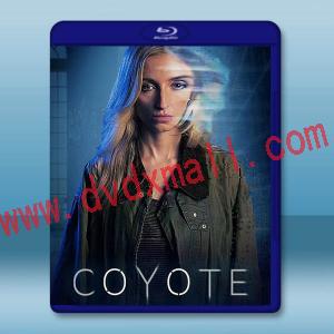  郊狼 Coyote (2023)藍光25G