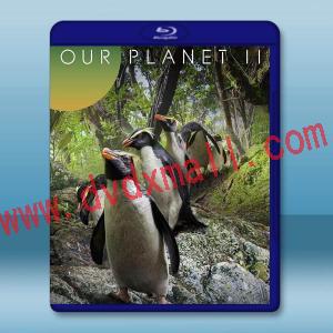  我們的星球第二季 Our Planet S2(2023)藍光25G