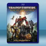  變形金剛：萬獸崛起 Transformers: Rise of the Beasts (2023)藍光25G