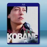 科巴尼 Kobane (2022)藍光2...
