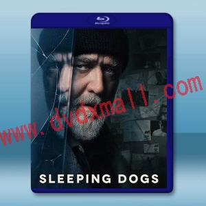 超危險警探/沉睡烈犬 Sleeping Dogs(2024)藍光25G