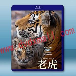 老虎 Tiger (2024)藍光25G