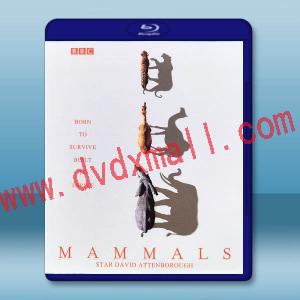 BBC 哺乳動物星球 Mammals(2024)藍光25G 2碟L