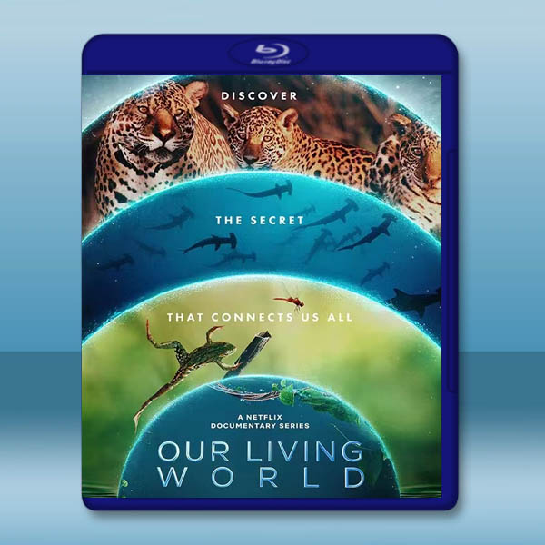 我們的生物世界 Our Living World(2024)藍光25G