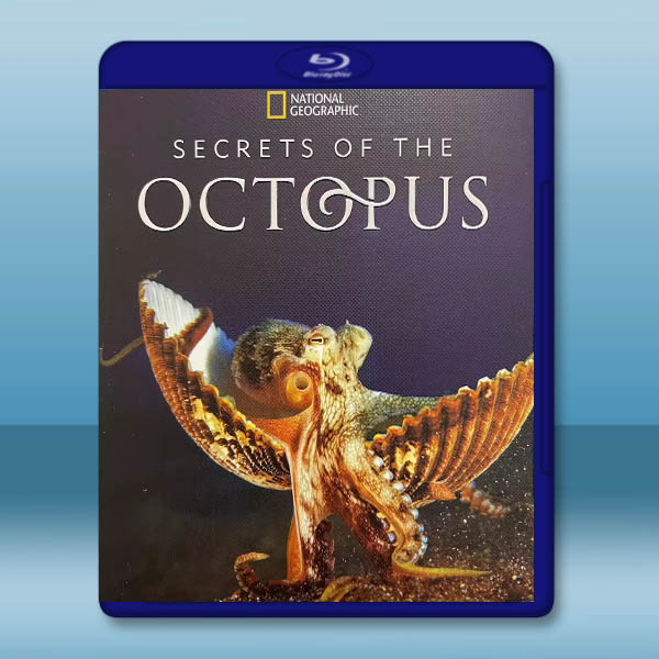 章魚的秘密 Secrets of the Octopus(2024)藍光25G T