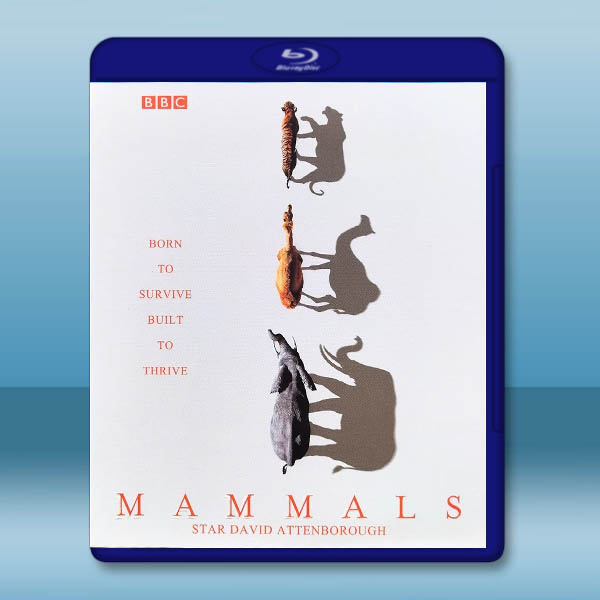 BBC 哺乳動物星球 Mammals(2024)藍光25G 2碟L