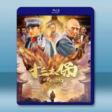 十三太保之風雲再起 (2024)藍光25G