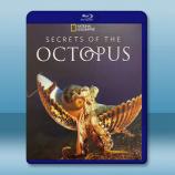 章魚的秘密 Secrets of the Octopus(2024)藍光25G T