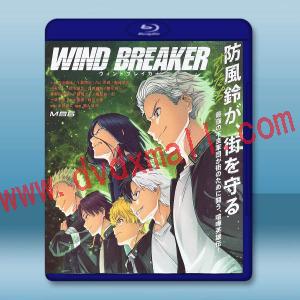 防風少年 WIND BREAKER(2024)藍光25G 2碟L