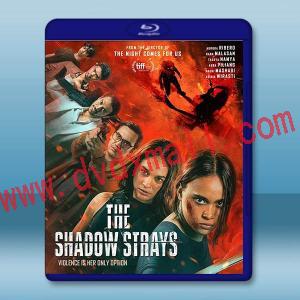 叛影浪客 The Shadow Strays(2024)藍光25G