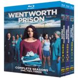 溫特沃斯 第1-9季 Wentworth S1-S9 藍光25G 12碟L