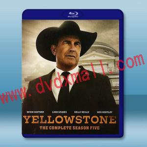 黃石 第5季《最終季》Yellowstone S5(2024)藍光25G 2碟