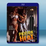 黑獄豪放女 Prison Heat (1993)藍光25G