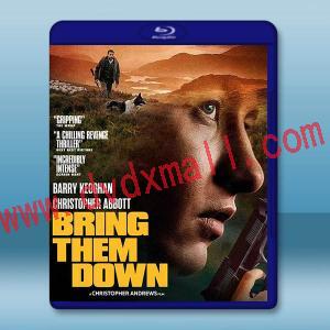 打倒他們 Bring Them Down(2024)藍光25G